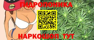 скорость Пугачёв