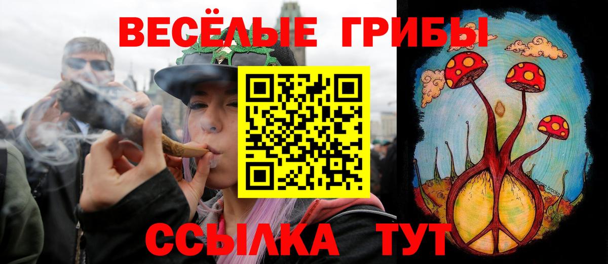 Рубцовск  сколько стоит  Вход с VPN  Псилоцибиновые грибы прущие грибы 